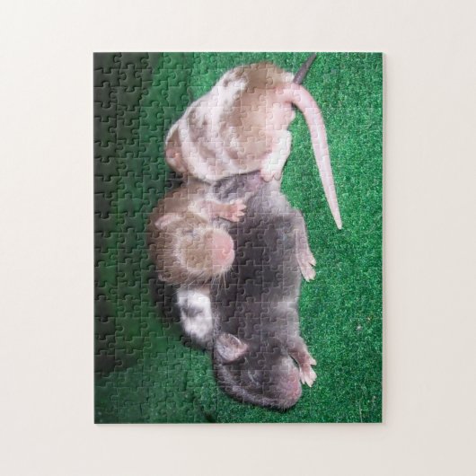 Muis Puzzle:  4 Baby Muizen Legpuzzel (Verticaal)