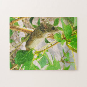 Muis Puzzle Legpuzzel