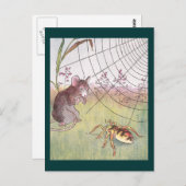 Muis, spin en web in de weide briefkaart (Voorkant / Achterkant)
