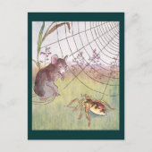 Muis, spin en web in de weide briefkaart (Voorkant)