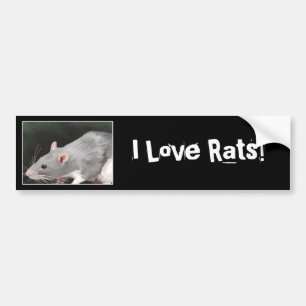 Muis sticker voor op de bumper