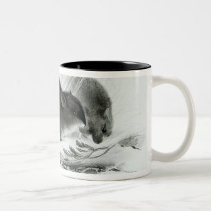 Muis, Tierra del Fuego, Zuid-Amerika c.1832-36 Tweekleurige Koffiemok