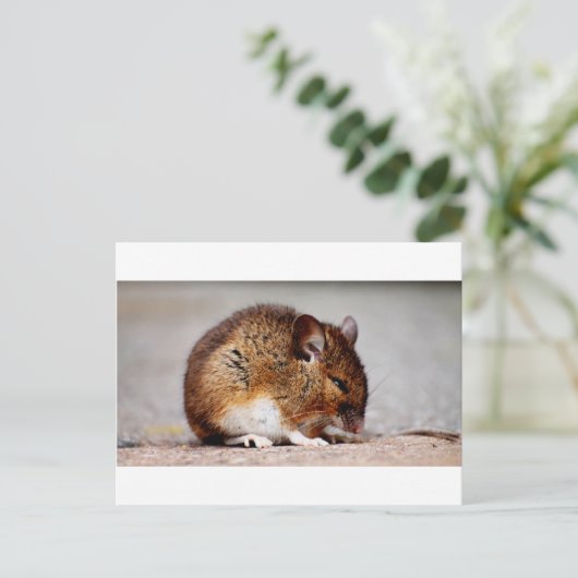 Muisafdrukken Briefkaart (Staand voorkant)