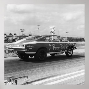 muisbelemmering - Cuda - Poor Boy Poster