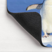 Muisblad - Pinguïn Muismat (Hoek)