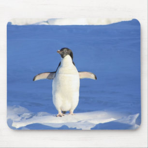 Muisblad - Pinguïn Muismat