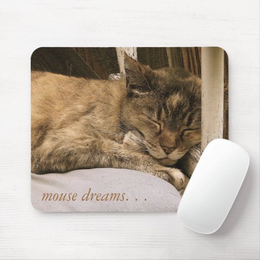 muisdromen. . . muismat (Met muis)