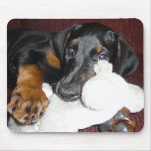 Muisermat met Schattige Dobermann Puppy Muismat