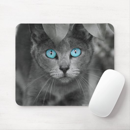 Muismat (Met muis)