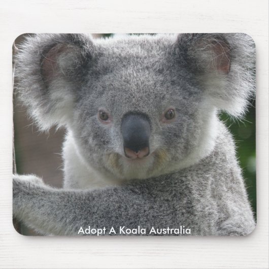 Muismat Adopt A Koala Australië (Voorkant)