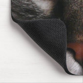 Muismat "Amazing Blue Eyes" Kat (Hoek)