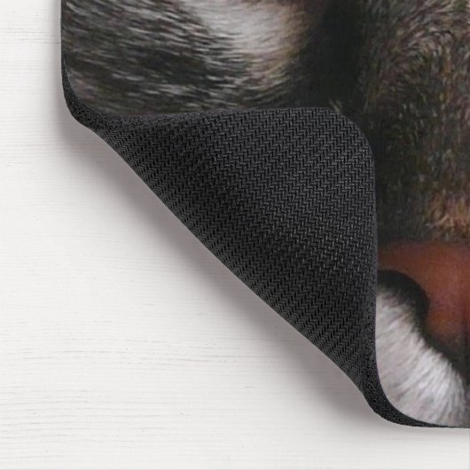 Muismat "Amazing Blue Eyes" Kat (Hoek)