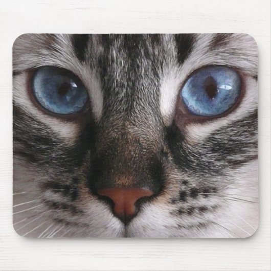 Muismat "Amazing Blue Eyes" Kat (Voorkant)