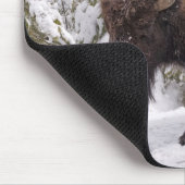 Muismat American Bison (Bison bison) (Hoek)