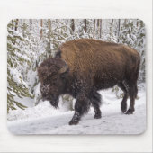 Muismat American Bison (Bison bison) (Voorkant)