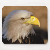 Muismat Amerikaanse Bald Eagle (Voorkant)