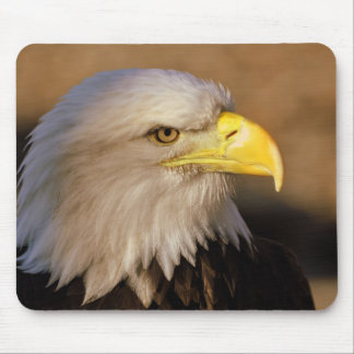 Muismat Amerikaanse Bald Eagle
