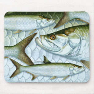 Muismat Atlantische Tarpon