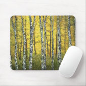 Muismat - Autumn Birch Trees, Acadia Forest (Met muis)