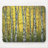 Muismat - Autumn Birch Trees, Acadia Forest (Voorkant)