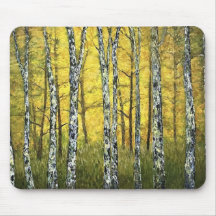 Muismat - Autumn Birch Trees, Acadia Forest