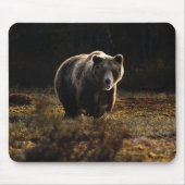 Muismat beer (Voorkant)