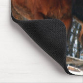 Muismat Belgische conceptpaarden (Hoek)