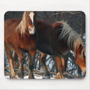 Muismat Belgische conceptpaarden