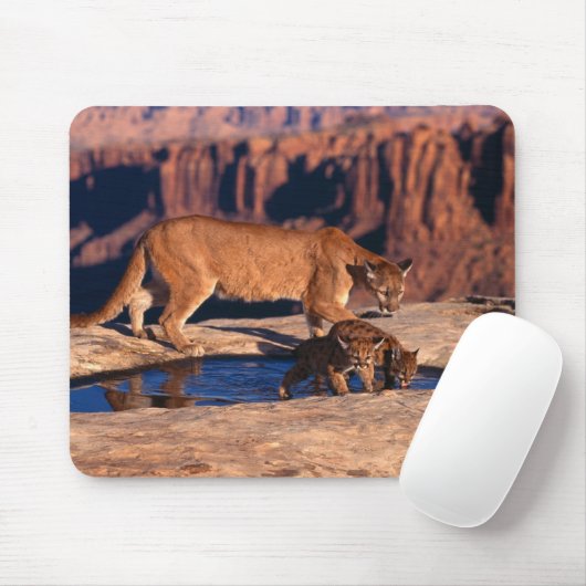 Muismat-Berglion & kubussen Muismat (Met muis)