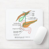 Muismat Biliaire systeemdiagram Leverancier (Met muis)