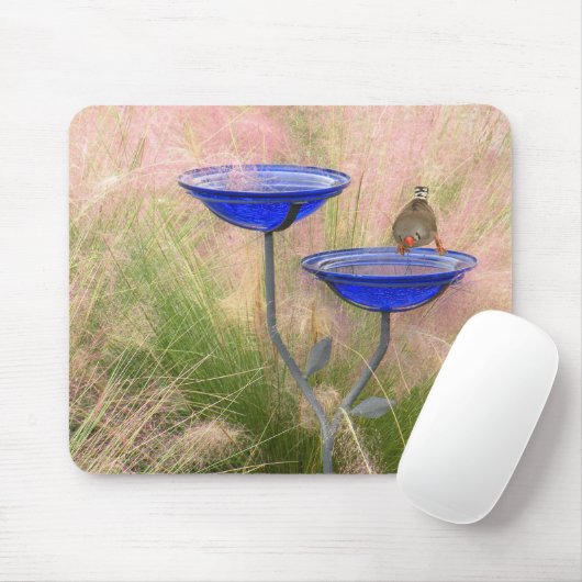 Muismat Bird Bath & Finch (Met muis)