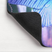 Muismat blauwe vlinder (Hoek)