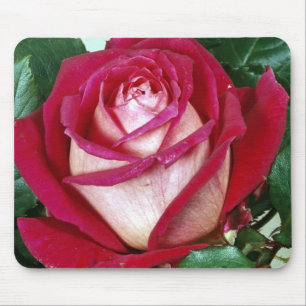 Muismat bloemen
