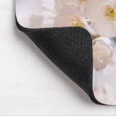 Muismat bloesems (Hoek)