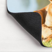 Muismat Boerboel Gel (Hoek)