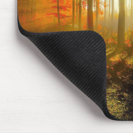 Muismat bos in het najaar (Hoek)