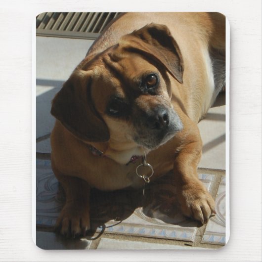 Muismat buigen (Voorkant)