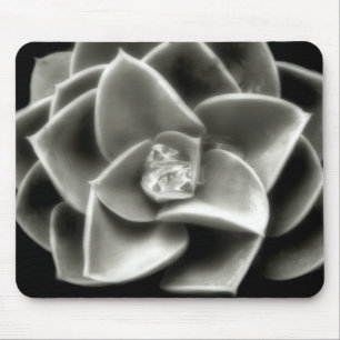 Muismat Cactus Diamond