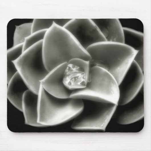 Muismat Cactus Diamond (Voorkant)