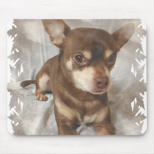 Muismat Chihuahua (Voorkant)