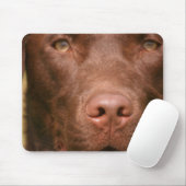 Muismat Chocolade Lab (Met muis)