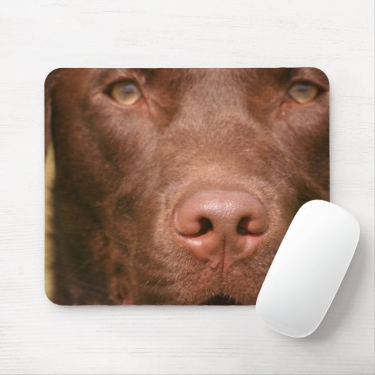 Muismat Chocolade Lab (Met muis)