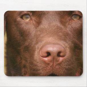 Muismat Chocolade Lab