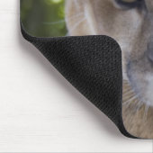 Muismat Cougar Pounce (Hoek)