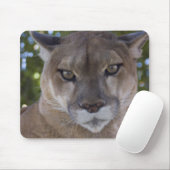 Muismat Cougar Pounce (Met muis)