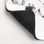 Muismat Dalmatiner (Hoek)