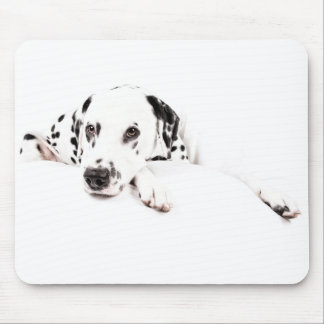 Muismat Dalmatiner