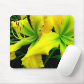 Muismat: Daylily Muismat (Met muis)