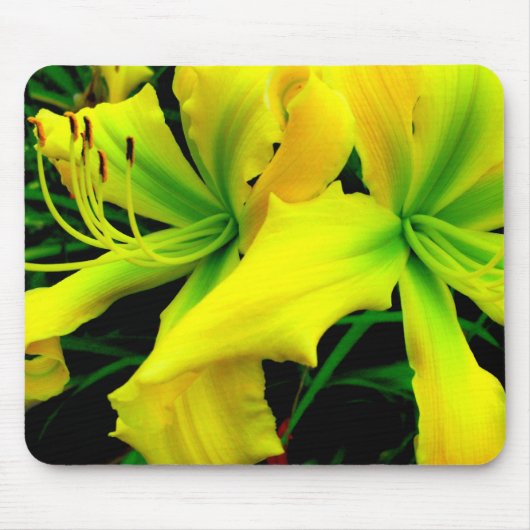 Muismat: Daylily Muismat (Voorkant)