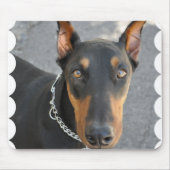 Muismat Doberman Pinscher (Voorkant)